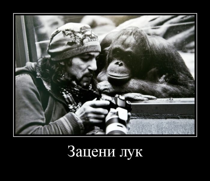 Демотиваторы четверга (30 картинок)