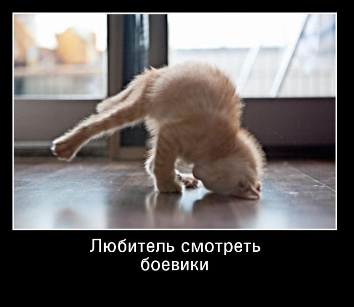 Демотиваторы четверга (30 картинок)