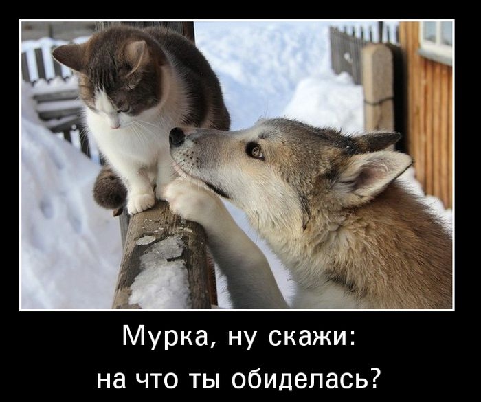 Демотиваторы четверга (30 картинок)