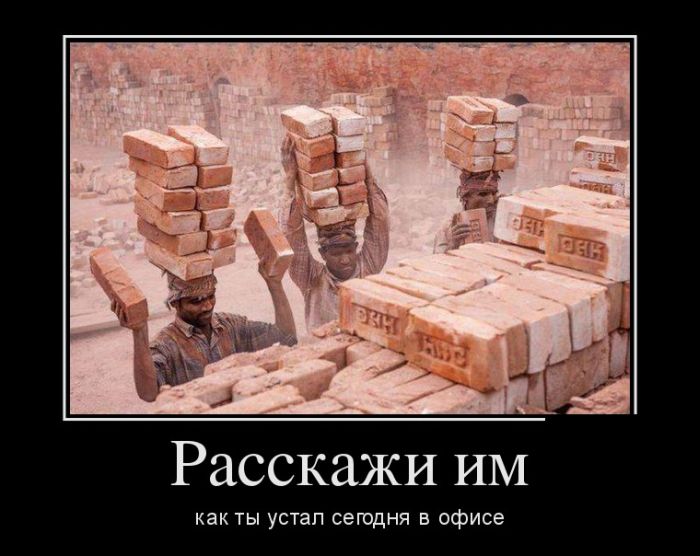 Демотиваторы пятницы (30 картинок)