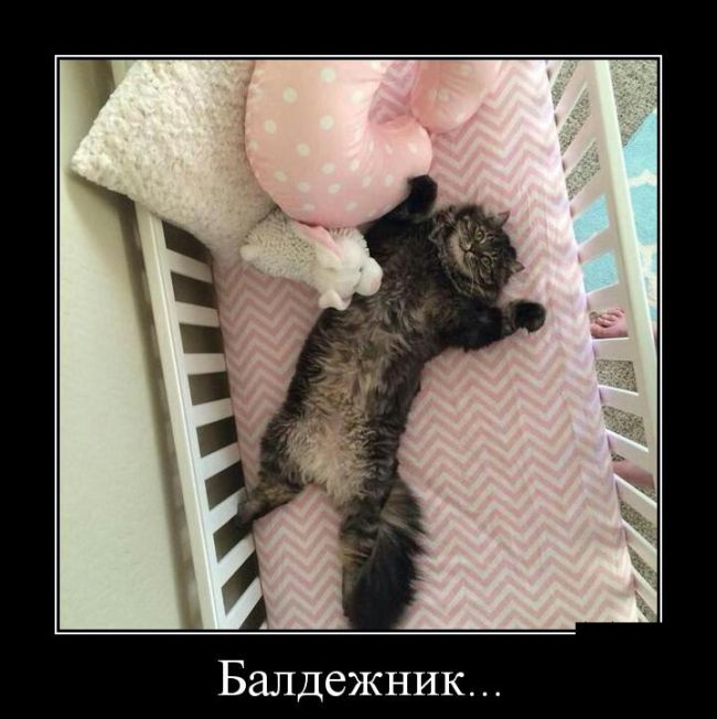 Демотиваторы пятницы (30 картинок)