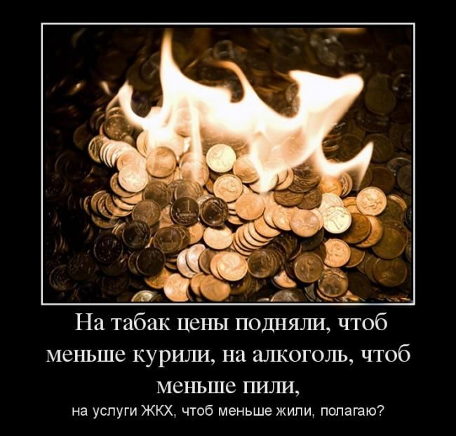 Демотиваторы пятницы (30 картинок)