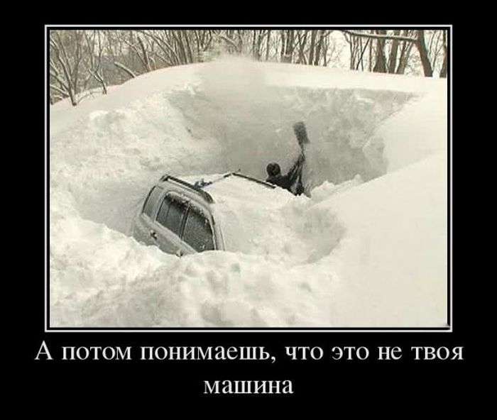 Демотиваторы пятницы (30 картинок)