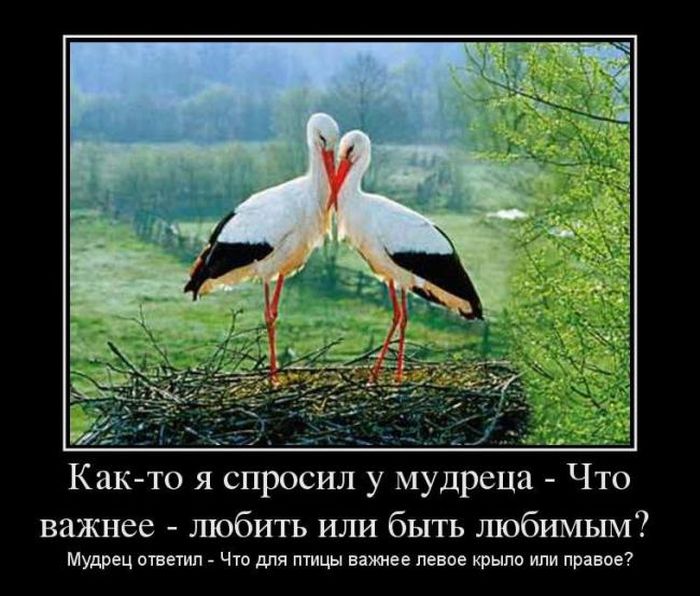 Демотиваторы пятницы (30 картинок)