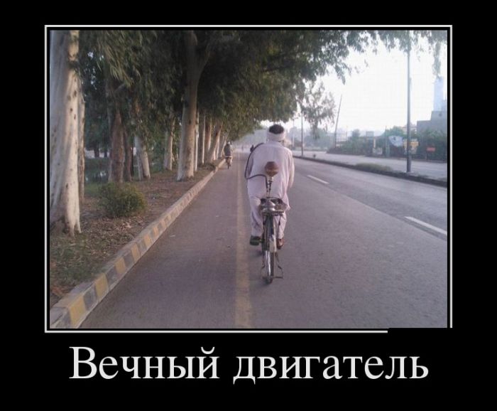 Демотиваторы пятницы (30 картинок)