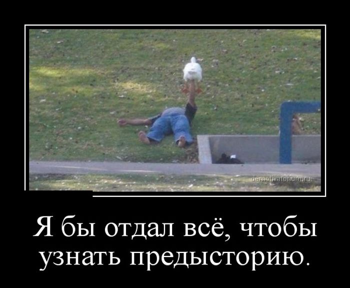 Демотиваторы понедельника (30 картинок)