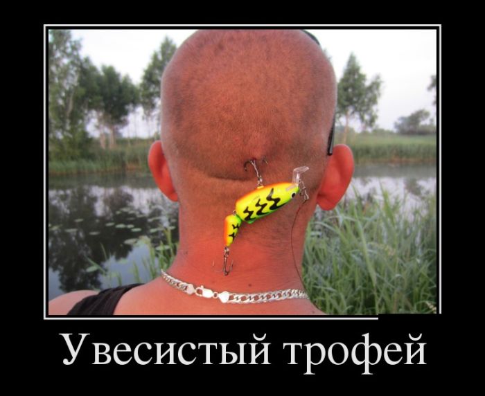 Демотиваторы понедельника (30 картинок)