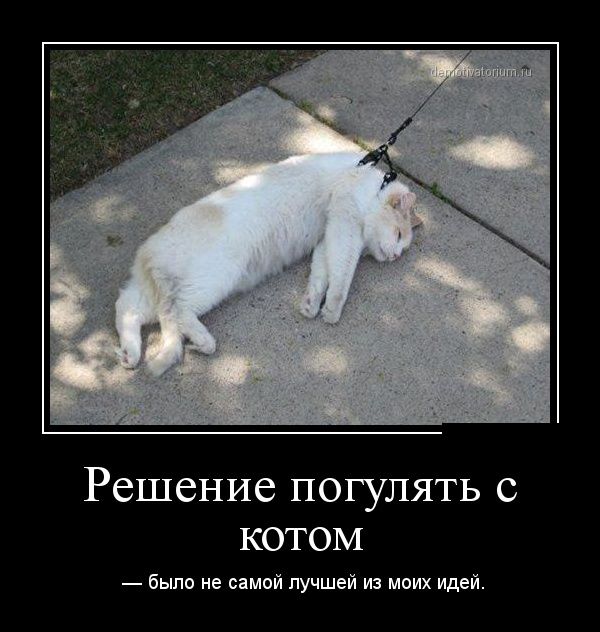 Демотиваторы понедельника (30 картинок)