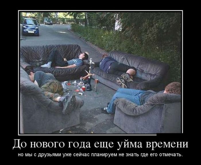 Демотиваторы вторника (30 картинок)