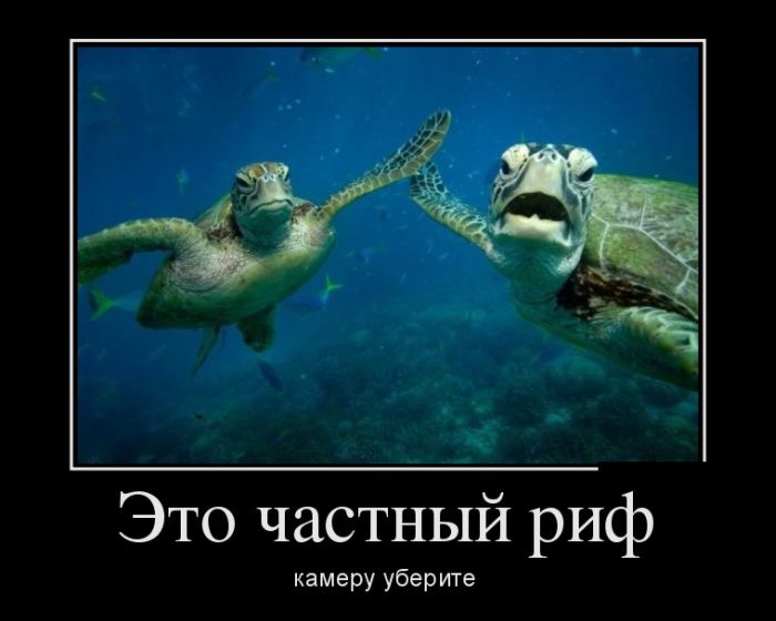 Демотиваторы вторника (30 картинок)