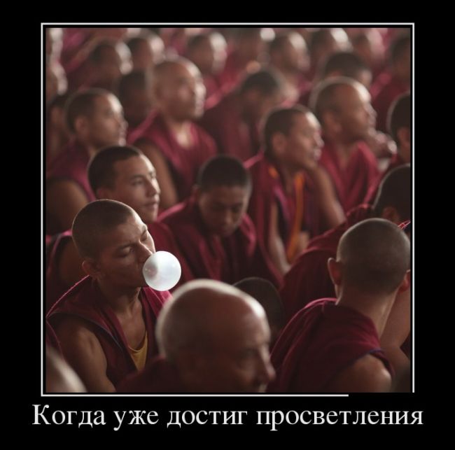 Демотиваторы вторника (30 картинок)
