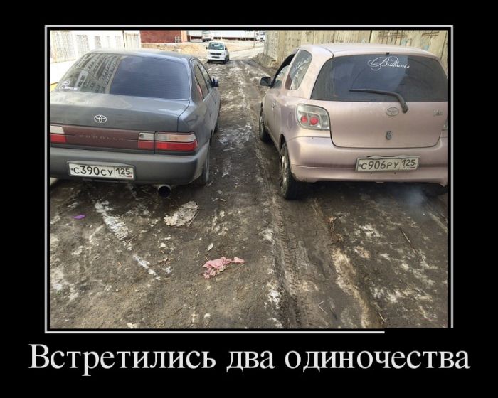 Демотиваторы вторника (30 картинок)