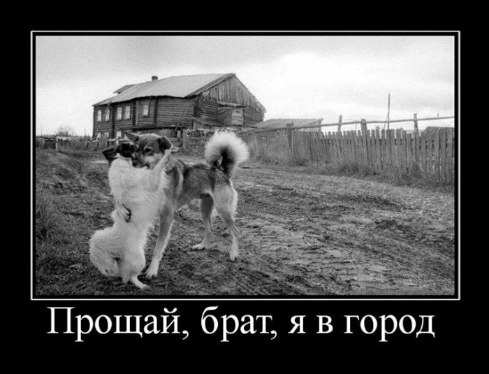 Демотиваторы вторника (30 картинок)