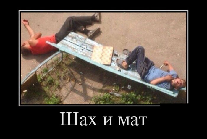 Демотиваторы вторника (30 картинок)