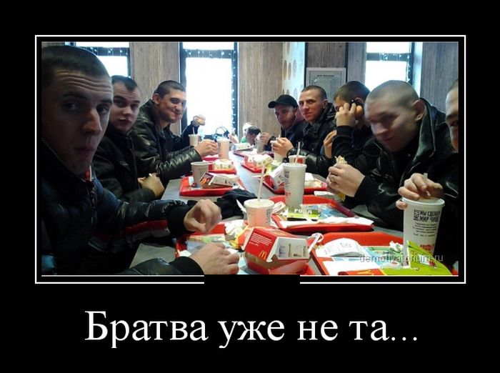 Демотиваторы вторника (30 картинок)