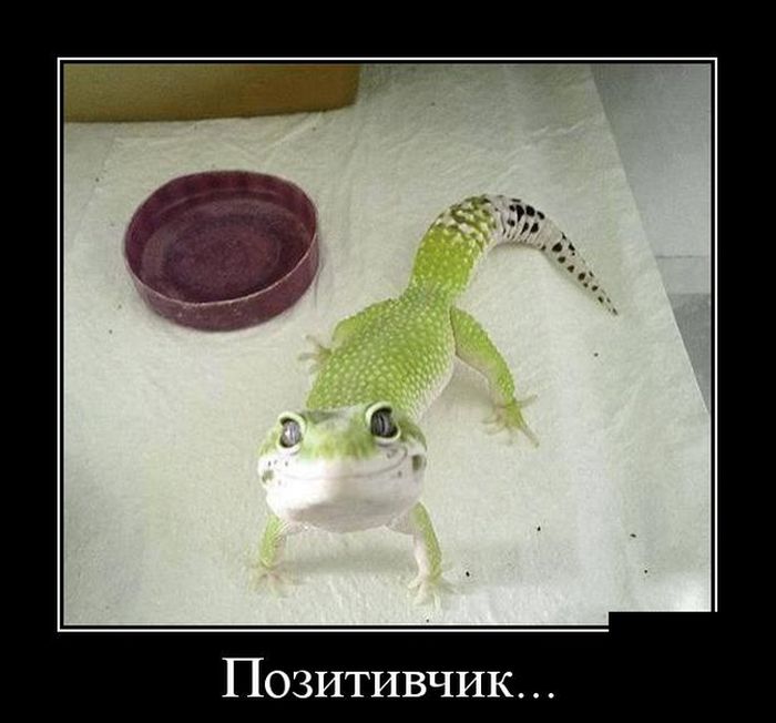 ������������ �������� (30 ��������)