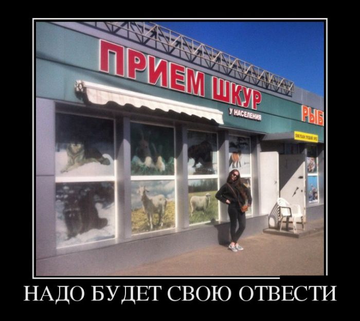 ������������ �������� (30 ��������)