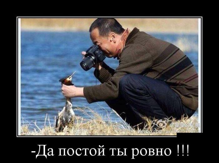 Демотиваторы четверга (30 картинок)