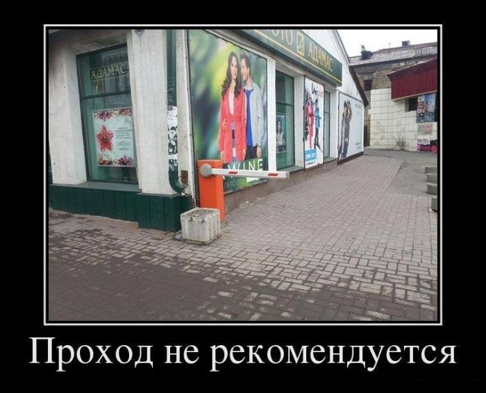 Демотиваторы четверга (30 картинок)
