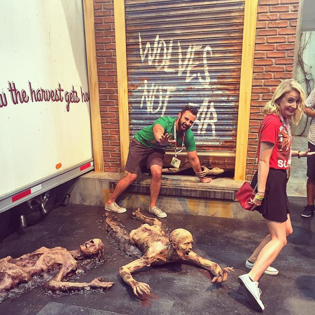    Comic-Con 2015.     (28 )