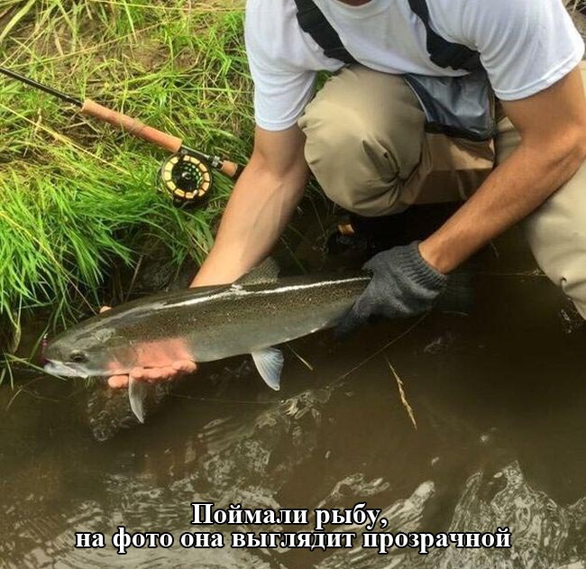 Подборка прикольных картинок из социальных сетей среды (30 фото)