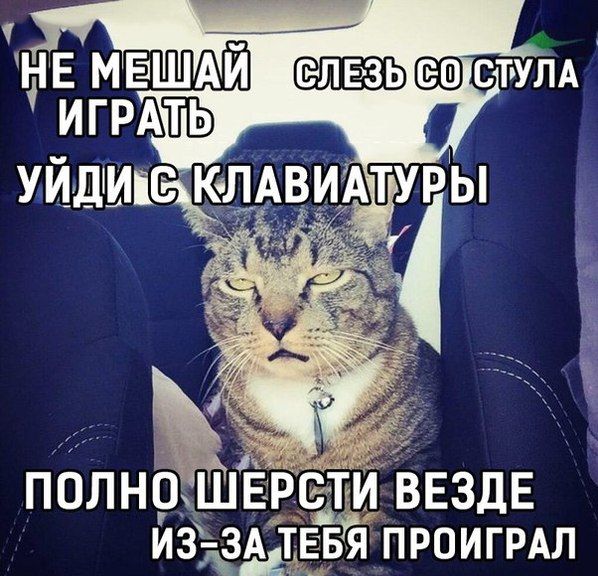 Подборка прикольных картинок из социальных сетей среды (30 фото)