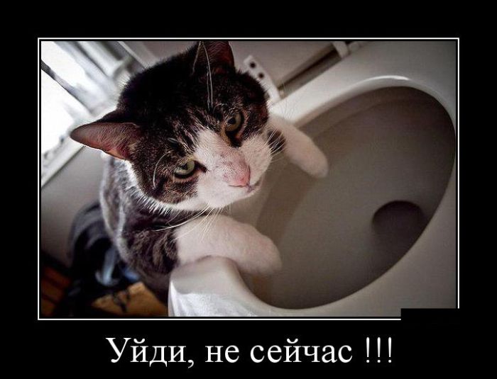 Демотиваторы среды (30 картинок)