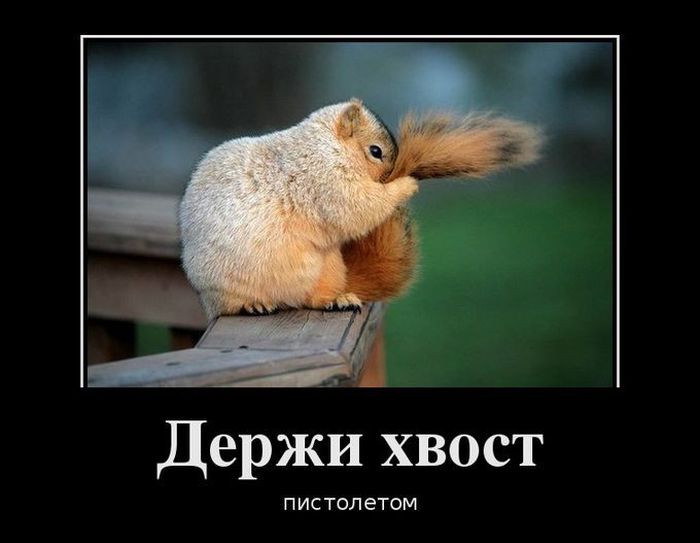 Демотиваторы среды (30 картинок)