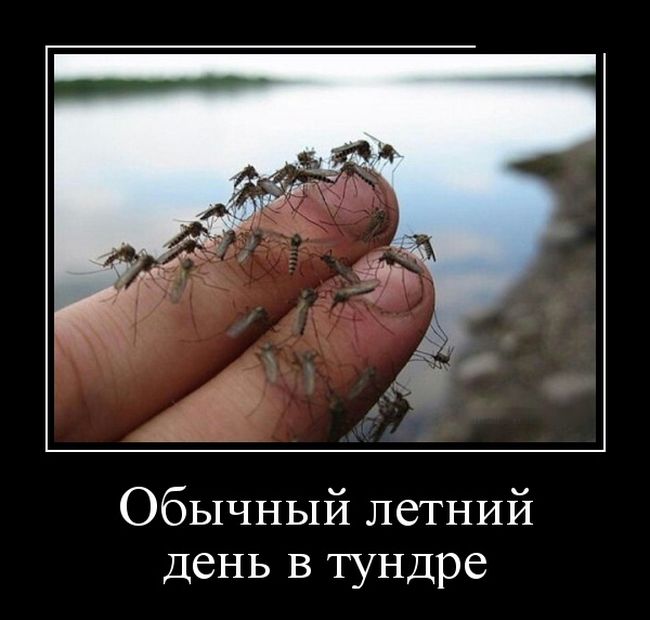 Демотиваторы среды (30 картинок)