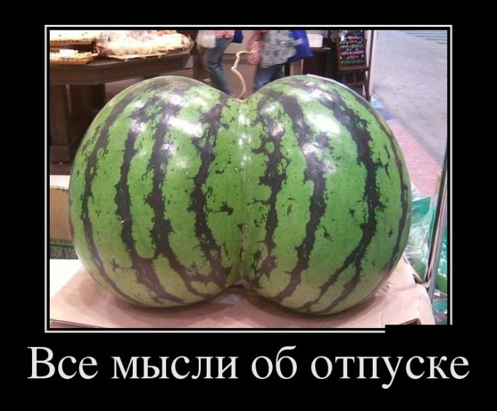 Демотиваторы среды (30 картинок)