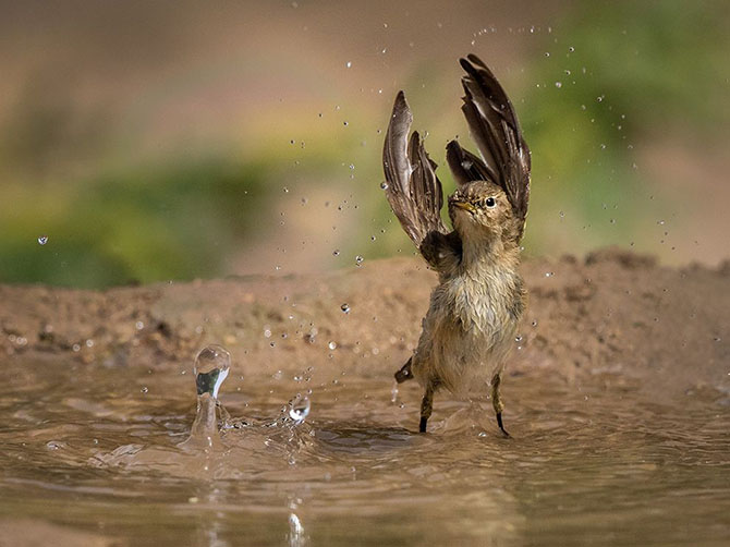    2015  National Geographic (22 )