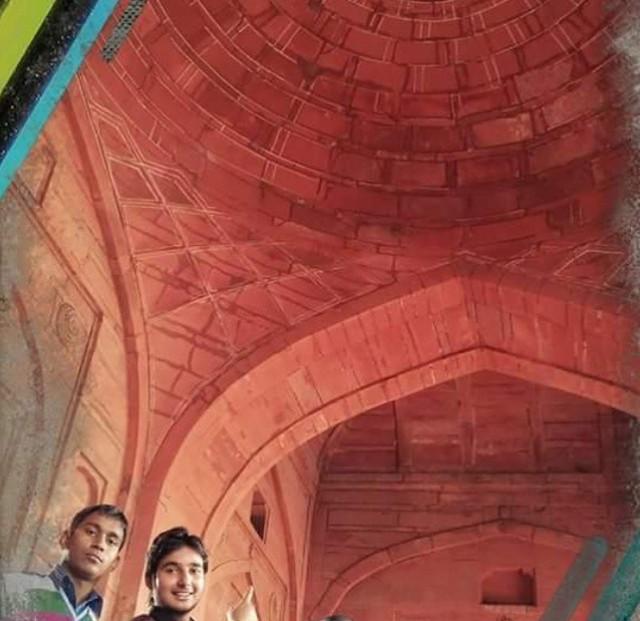 Фотографии, из-за которых можно оказаться в тюрьме (19 фото)