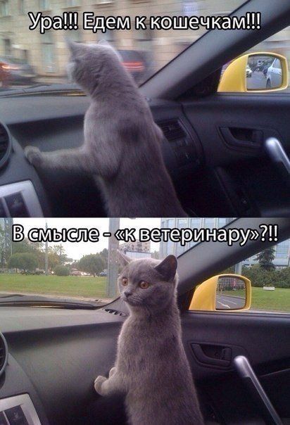 �������� ���������� �������� �� ���������� ����� �������� (30 ����)