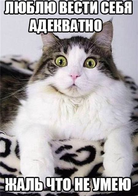 �������� ���������� �������� �� ���������� ����� �������� (30 ����)