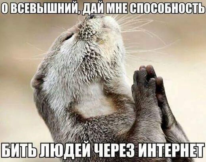 �������� ���������� �������� �� ���������� ����� �������� (30 ����)