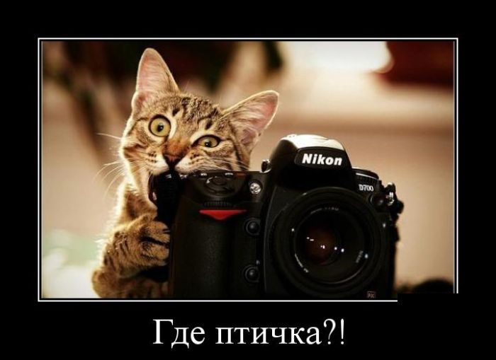 Демотиваторы среды (30 картинок)