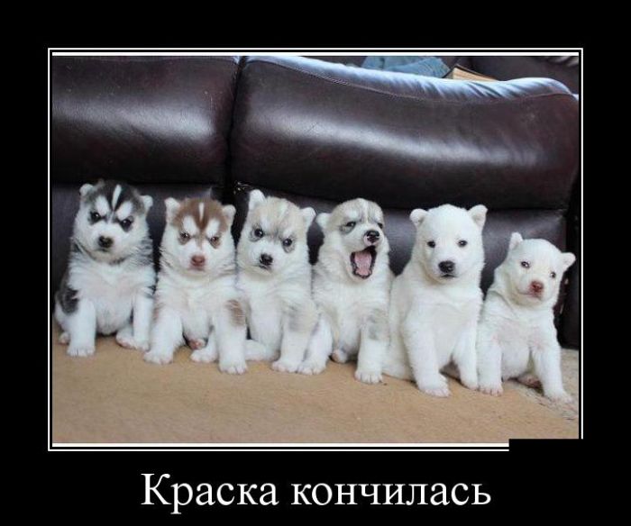 Демотиваторы среды (30 картинок)