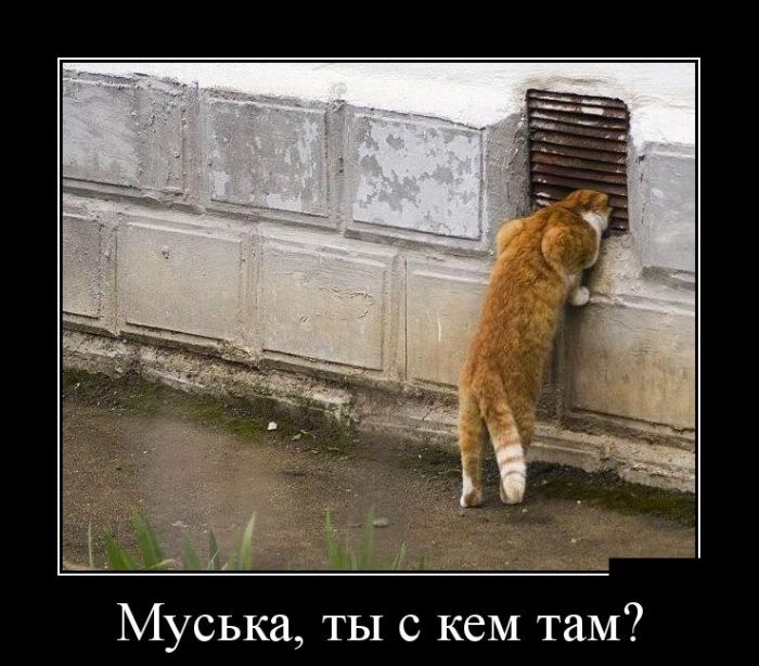 Демотиваторы среды (30 картинок)