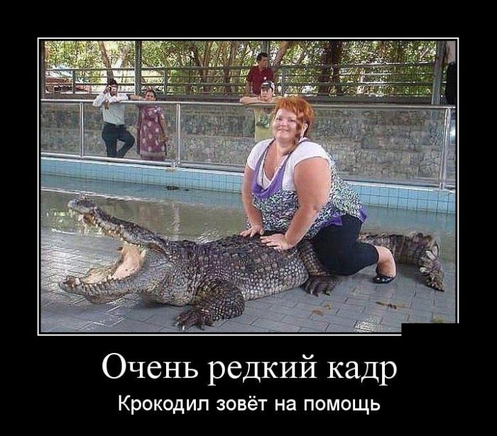 Демотиваторы среды (30 картинок)