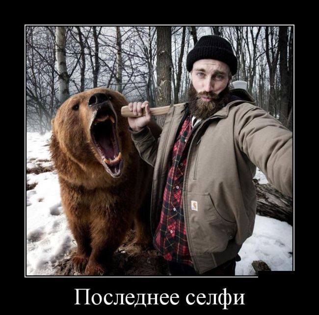 Демотиваторы среды (30 картинок)