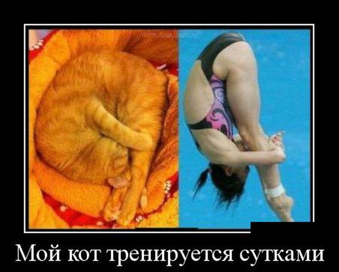 Демотиваторы среды (30 картинок)