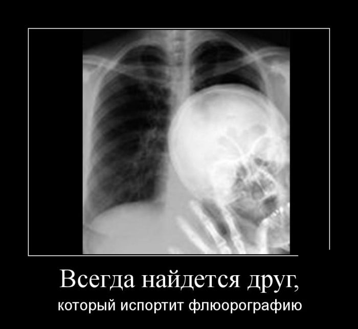 Демотиваторы среды (30 картинок)