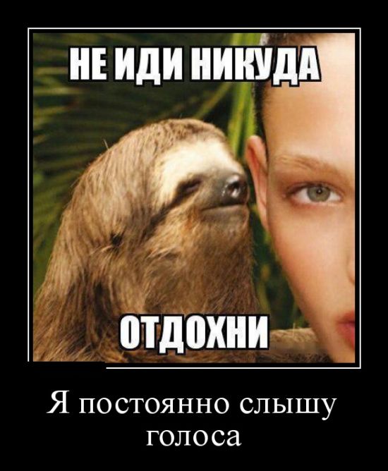 Демотиваторы среды (30 картинок)