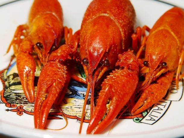 Самые сумасшедшие соревнования по поеданию продуктов в мире (25 фото)