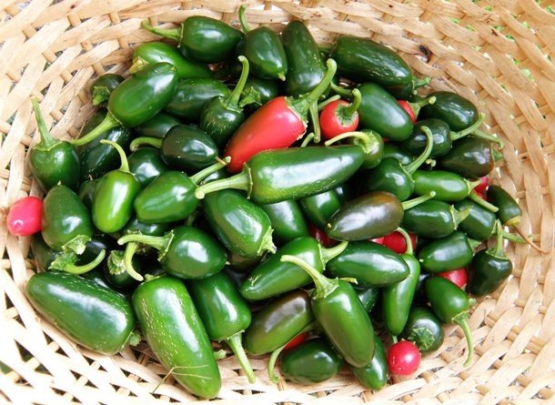 Самые сумасшедшие соревнования по поеданию продуктов в мире (25 фото)