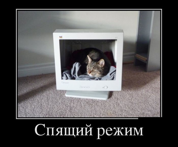 Демотиваторы понедельника (30 картинок)
