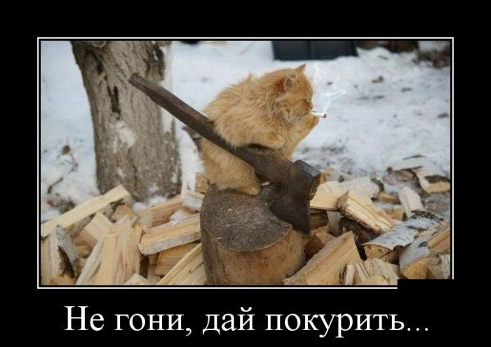 Демотиваторы понедельника (30 картинок)