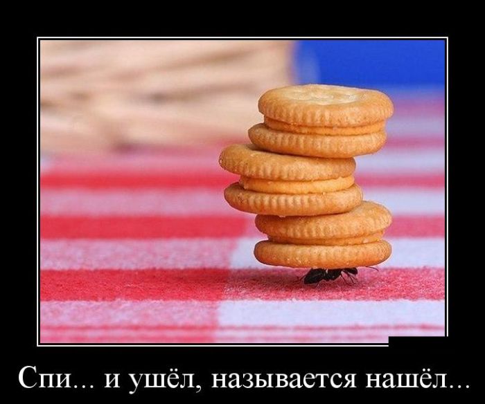 Демотиваторы понедельника (30 картинок)