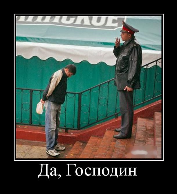 Демотиваторы вторника (30 картинок)