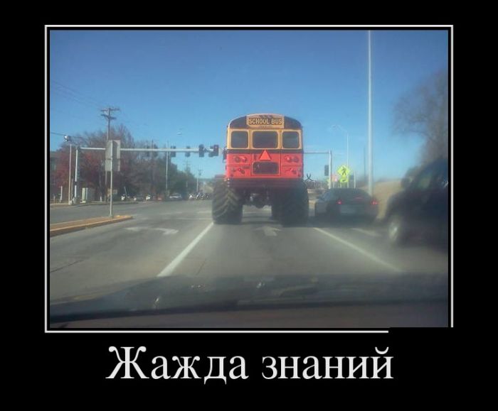 Демотиваторы вторника (30 картинок)